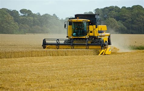 Harvest farming. Things To Know About Harvest farming. 